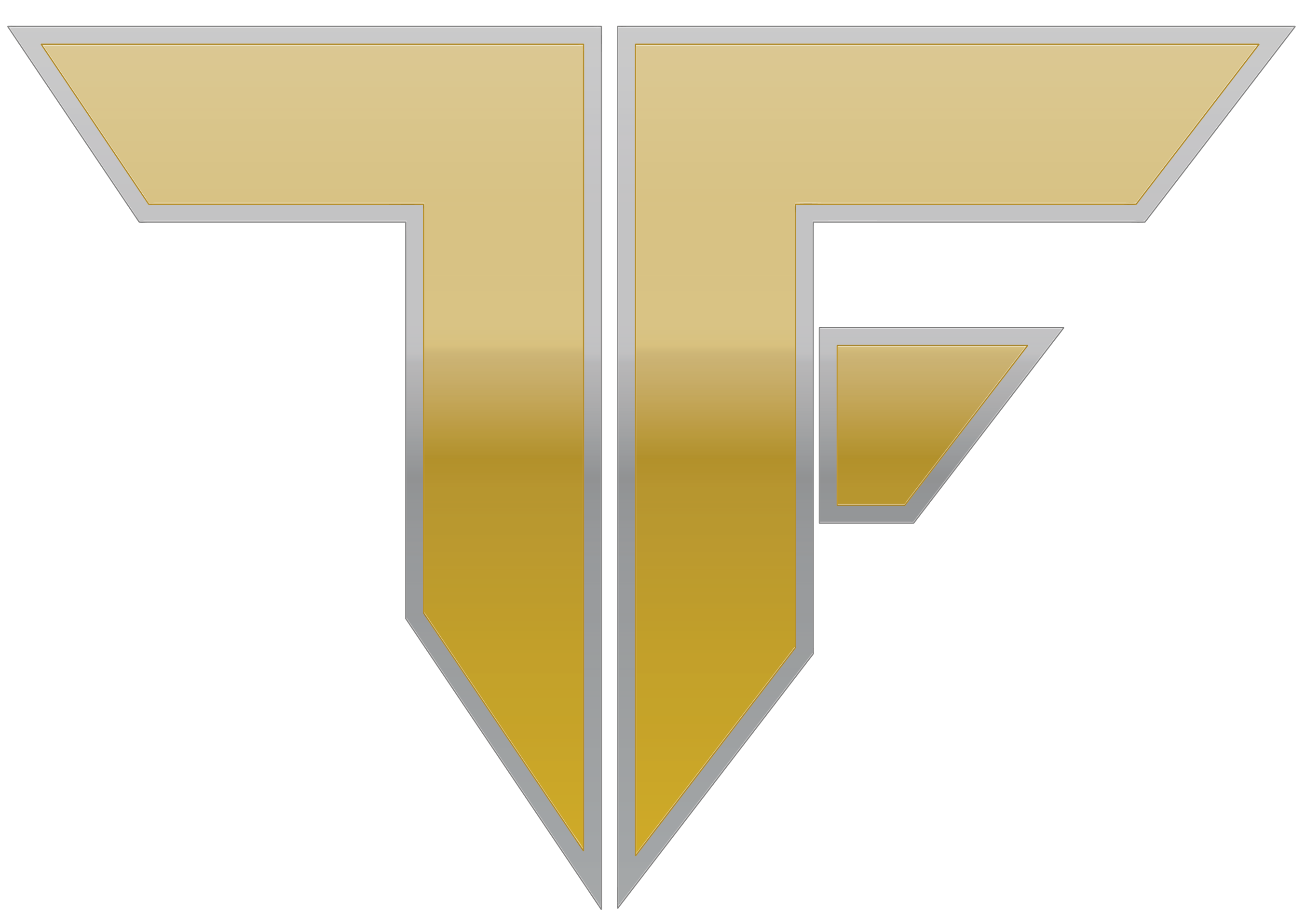 Top Flight Executives Inc